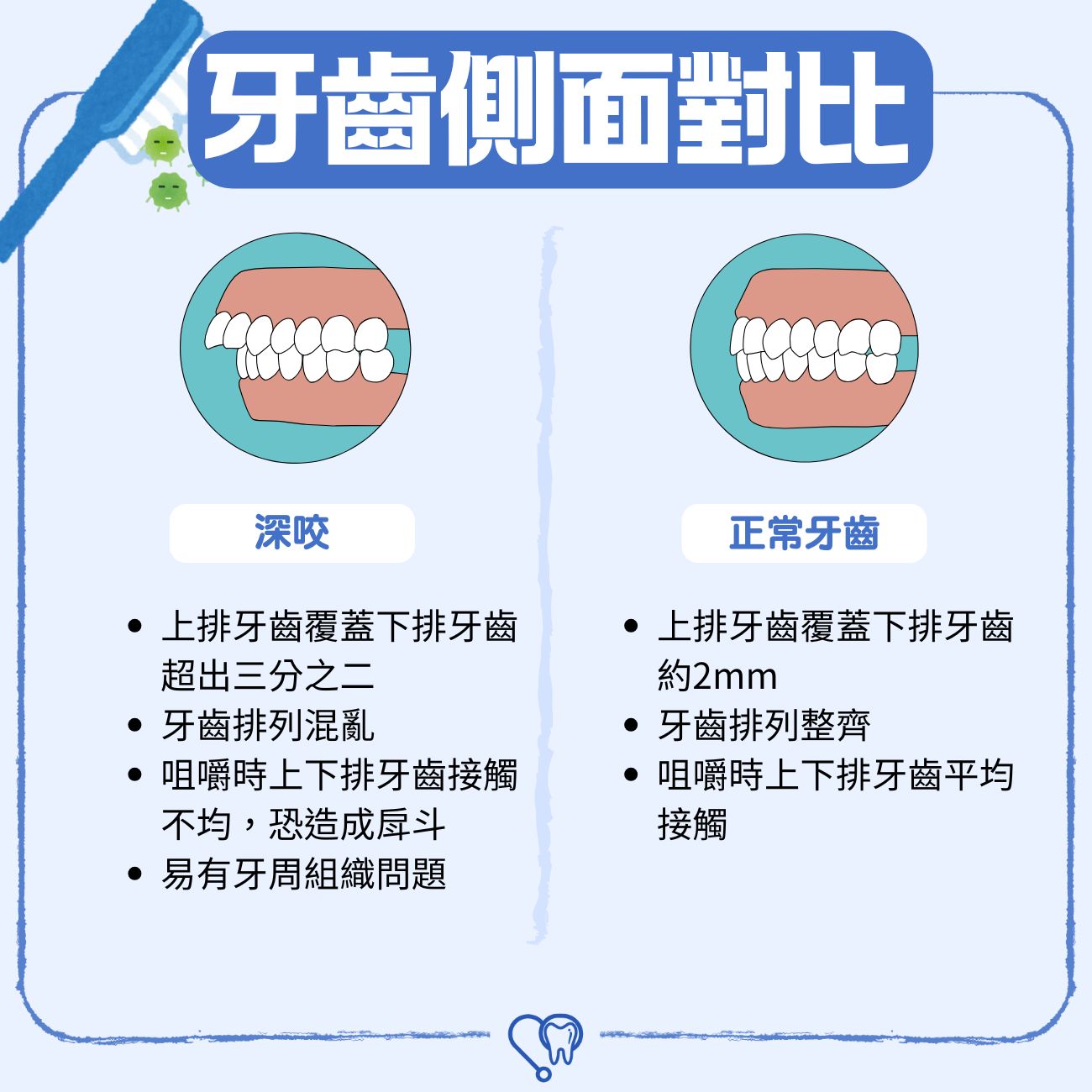 牙齒側面對比