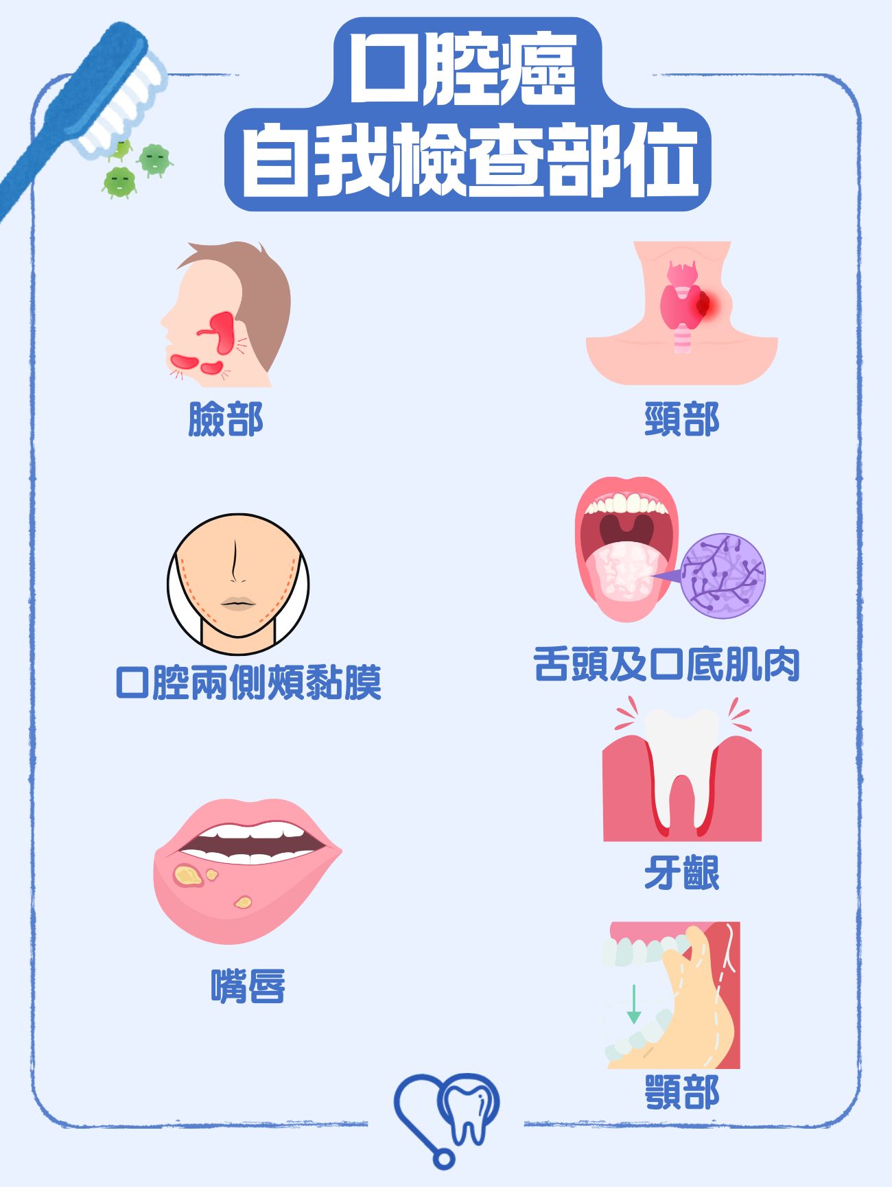 口腔癌自我檢查部位