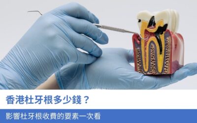 香港杜牙根多少錢？影響杜牙根收費的4大要素一次看