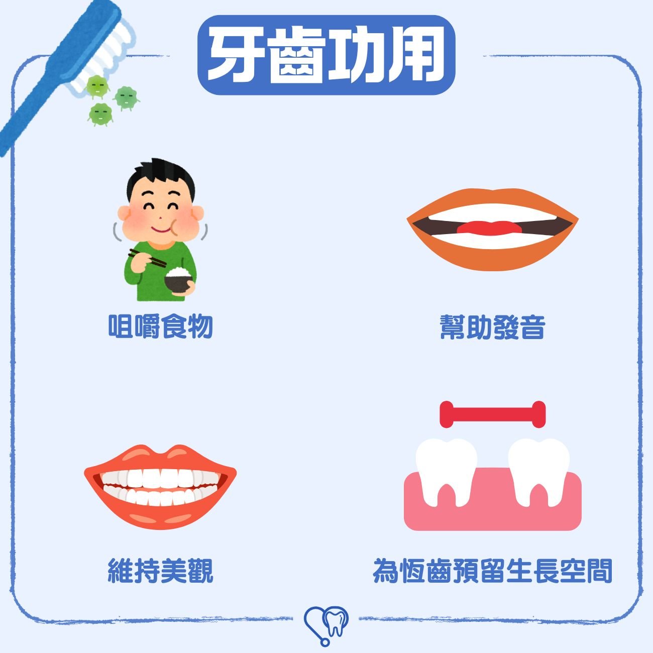 牙齒功用